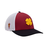 Arizona State Benchmark