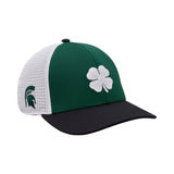 Michigan State Benchmark