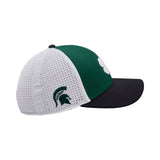 Michigan State Benchmark