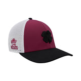 New Mexico State Benchmark