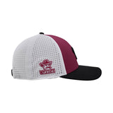 New Mexico State Benchmark