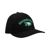 North Dakota Game Day