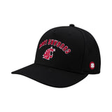 Washington State Game Day