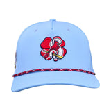 Cardinals Perfect Game #2