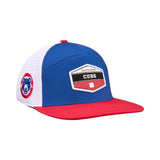 Cubs Ball Park