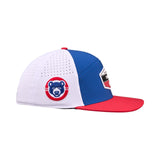 Cubs Ball Park