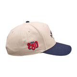 Land Of The Free - USA 250th Edition Hat