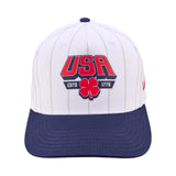 Pinstripe USA - American Baseball Hat