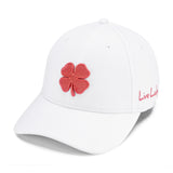 Premium Clover 181