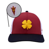 Arizona State Benchmark