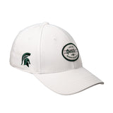 Michigan State Force